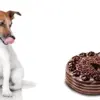 Dog Chocolate Poisoning – Chocolate is Bad For Your Dog