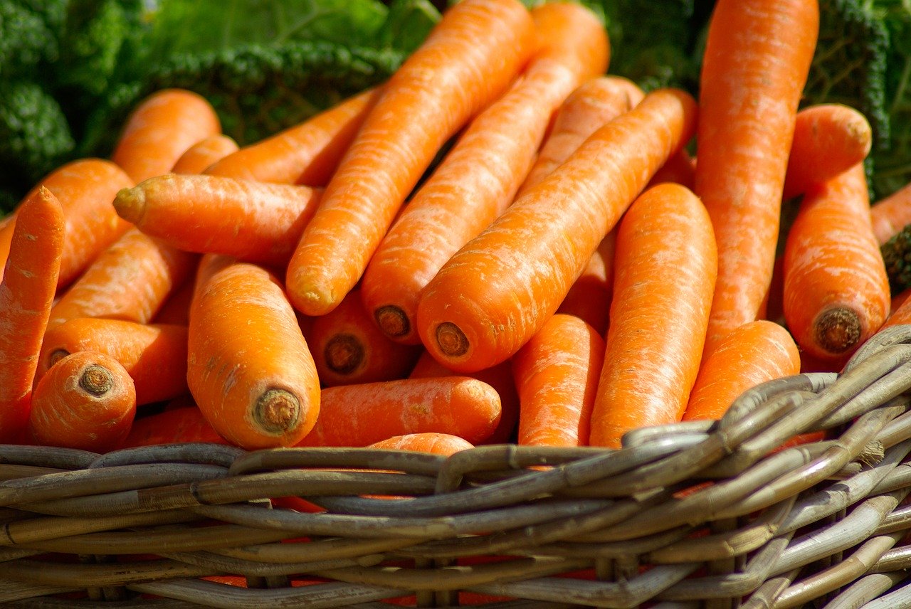 Carrots Are Safe and Healthy For Your Dog