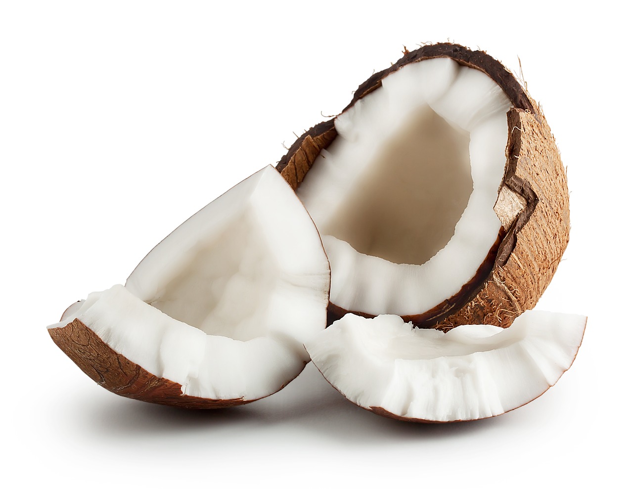 Coconut is Safe and Healthy For Your Dog