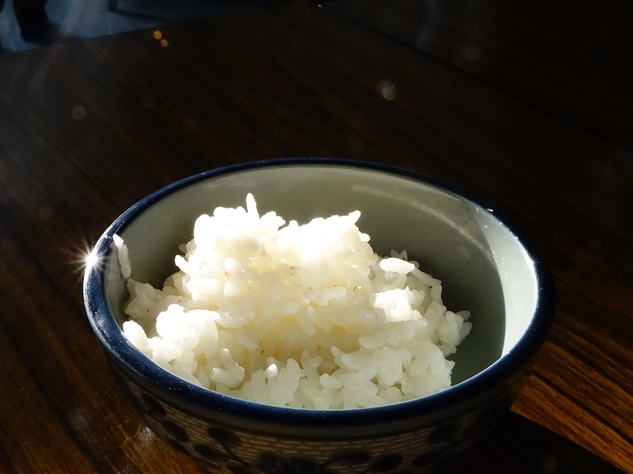 Cooked Rice is Safe and Healthy For Your Dog
