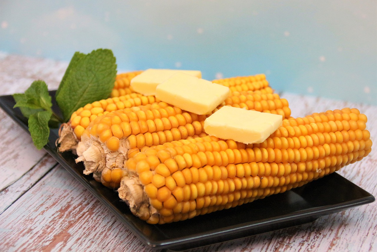 Corn on the cob Can be Potentially Dangerous to Your Dog