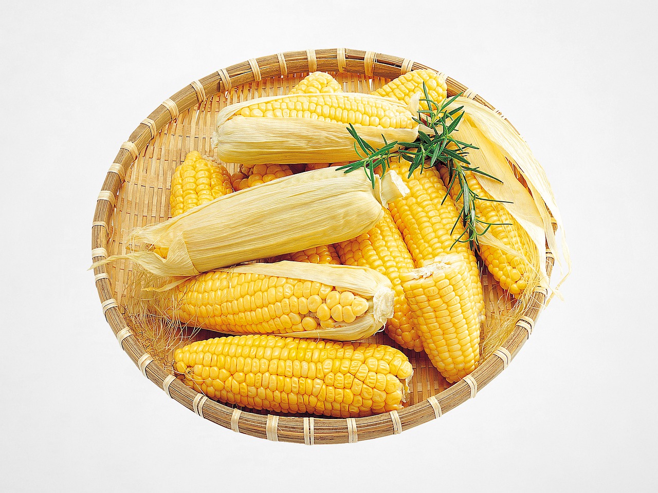 Corns Are Safe and Healthy For Your Dog
