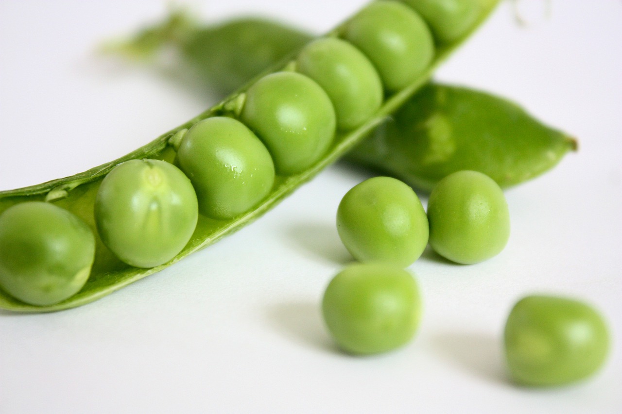 Green Peas Are Safe and Healthy For Your Dog