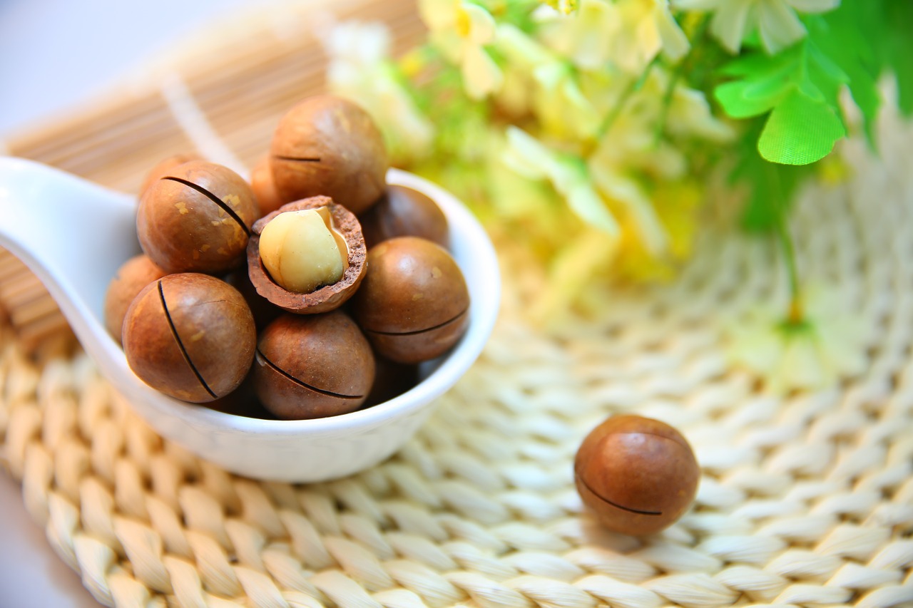 Macadamia nuts Are Extremely Toxic to Dogs