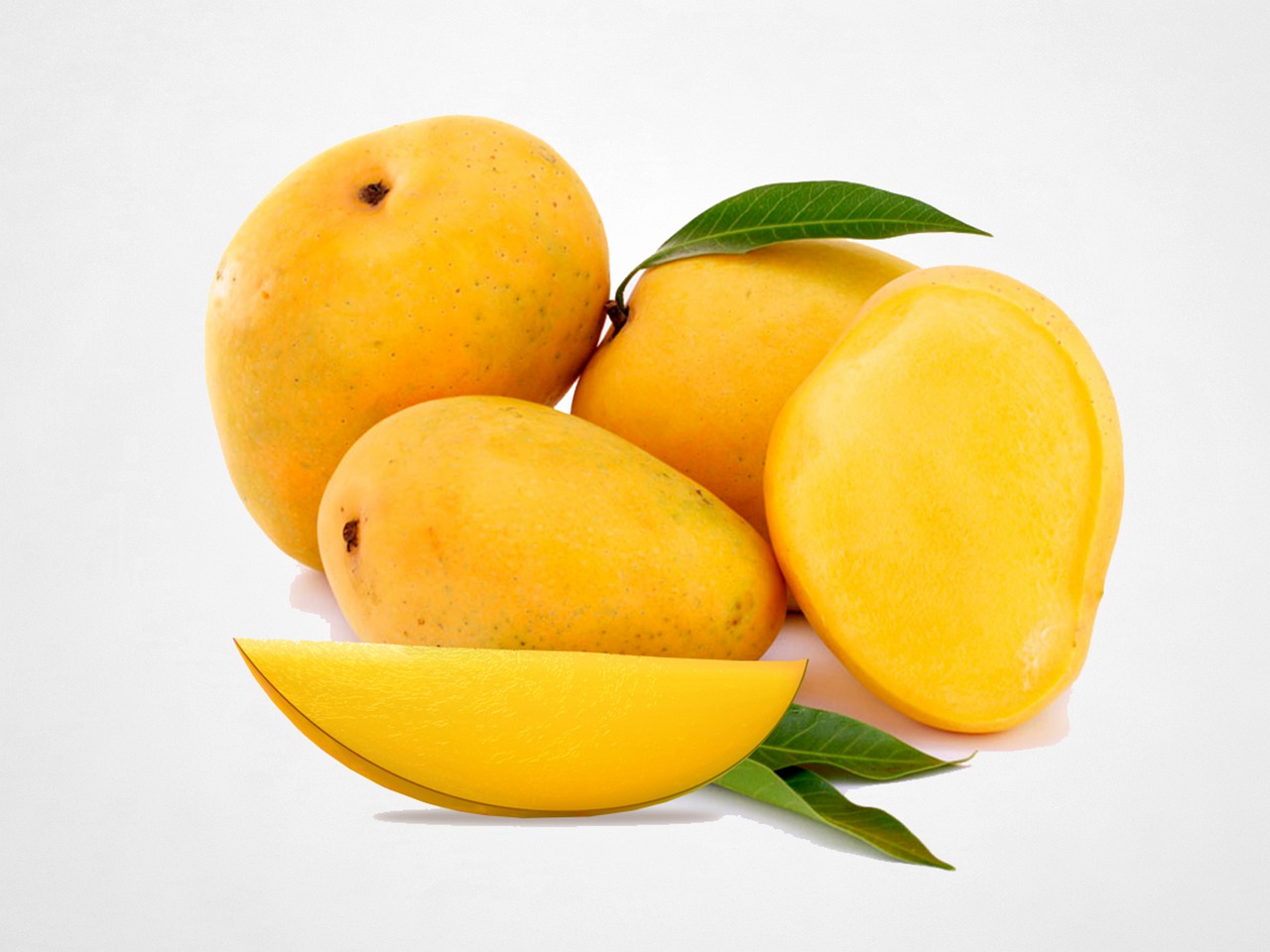 Mangoes Are Safe and Healthy For Your Dog