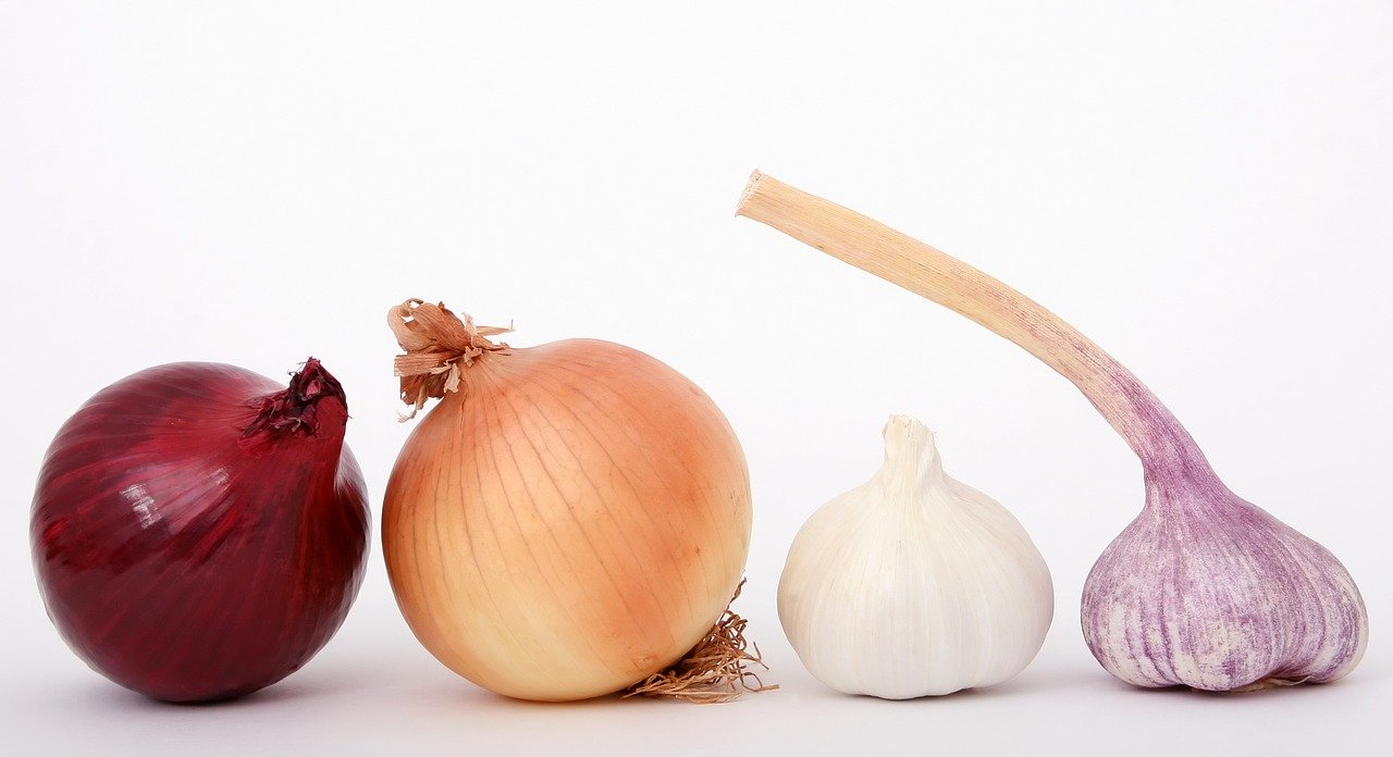 Onions, garlic, and chives Are Toxic to Your Dog