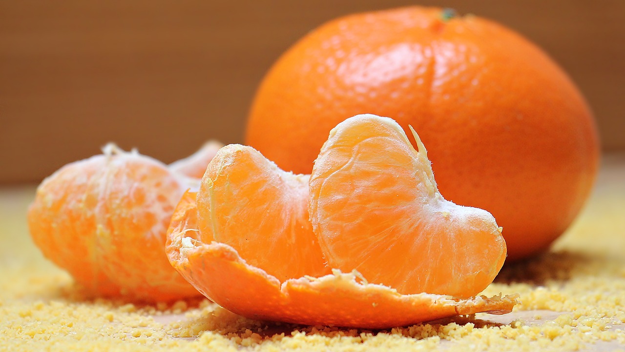 Oranges Are Safe and Healthy For Your Dog