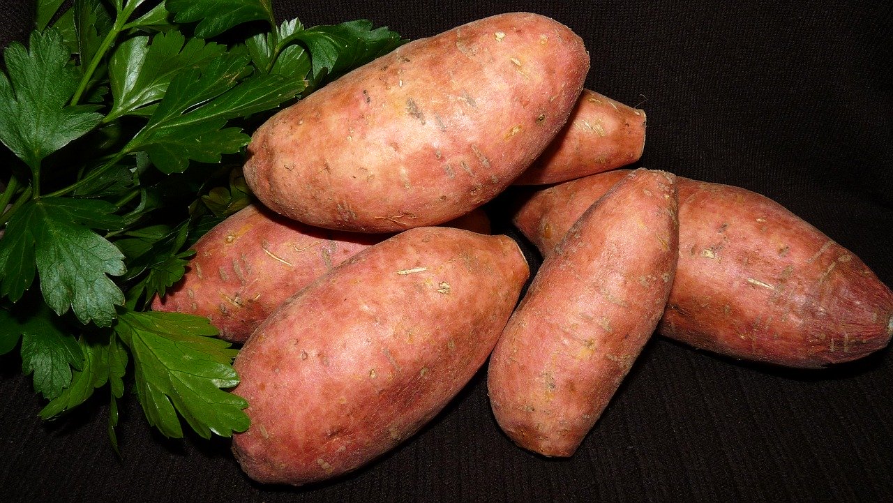 Sweet Potatoes Are Safe and Healthy For Your Dog