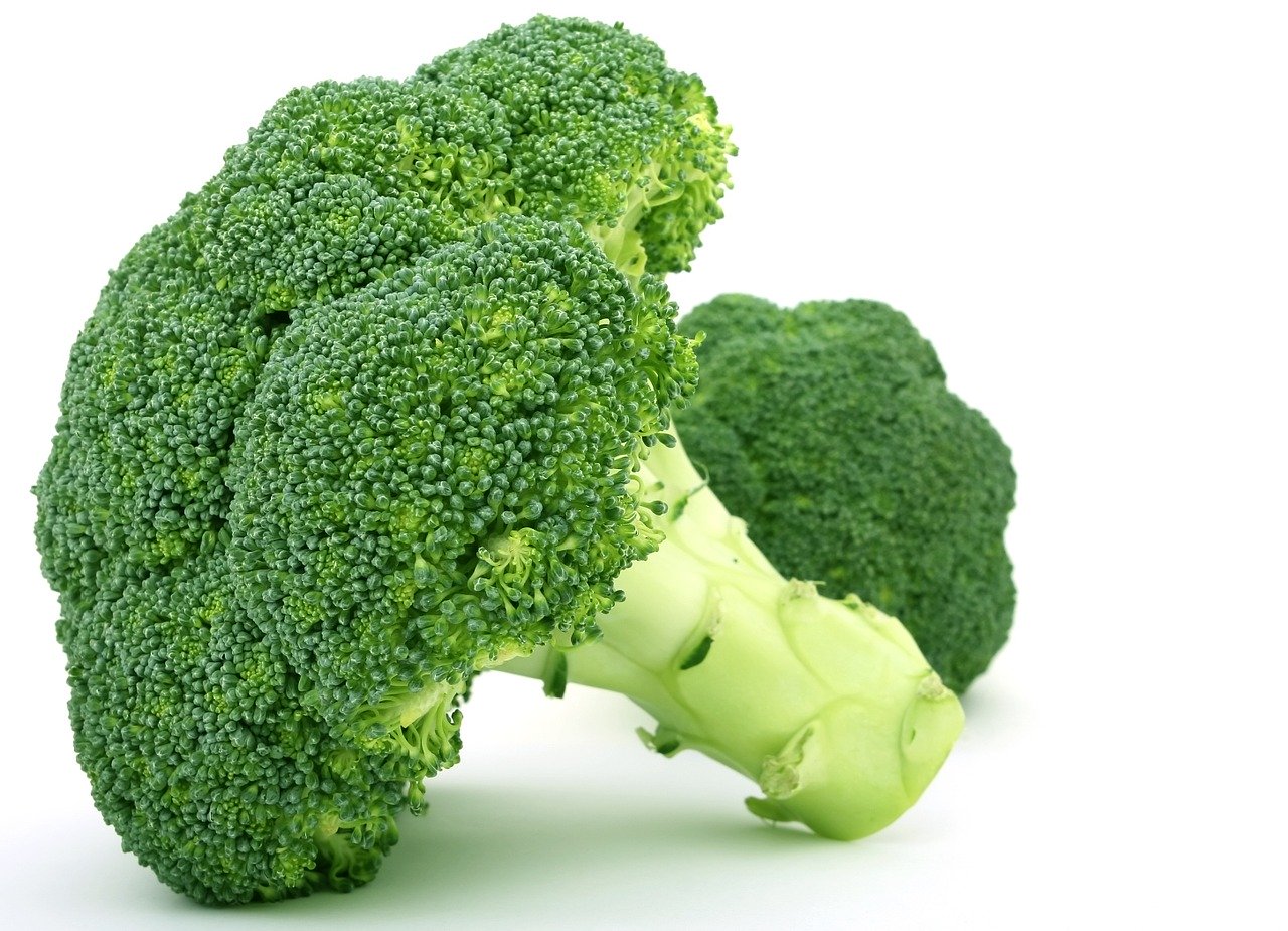 broccoli Are Safe and Healthy For Your Dog