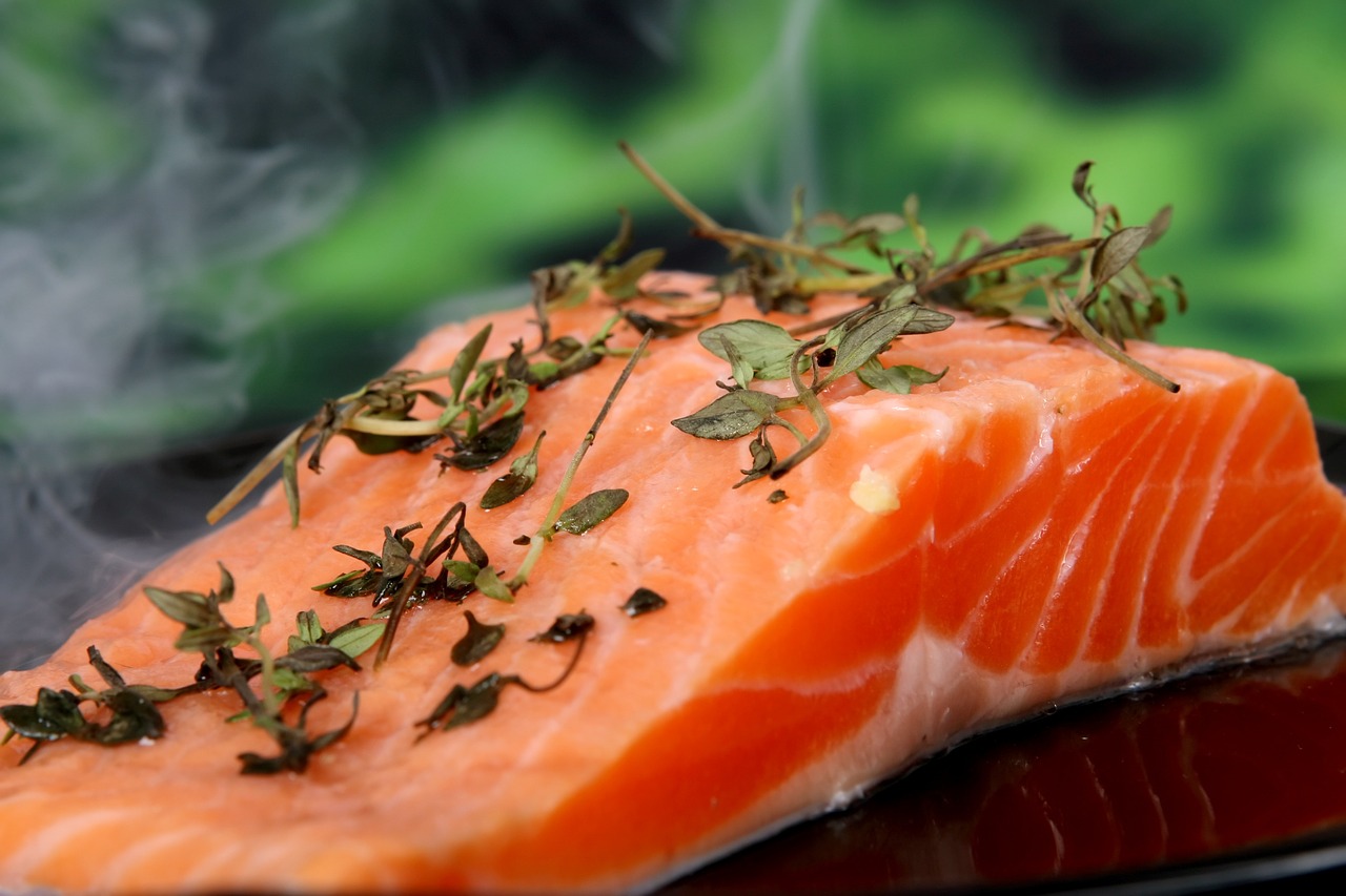 salmon is Safe and Healthy For Your Dog