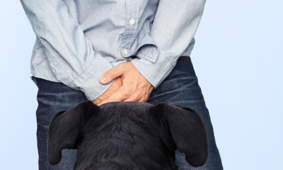 Why Does My Dog Love Sniffing My Crotch? (Hint: It's Not What You Think)