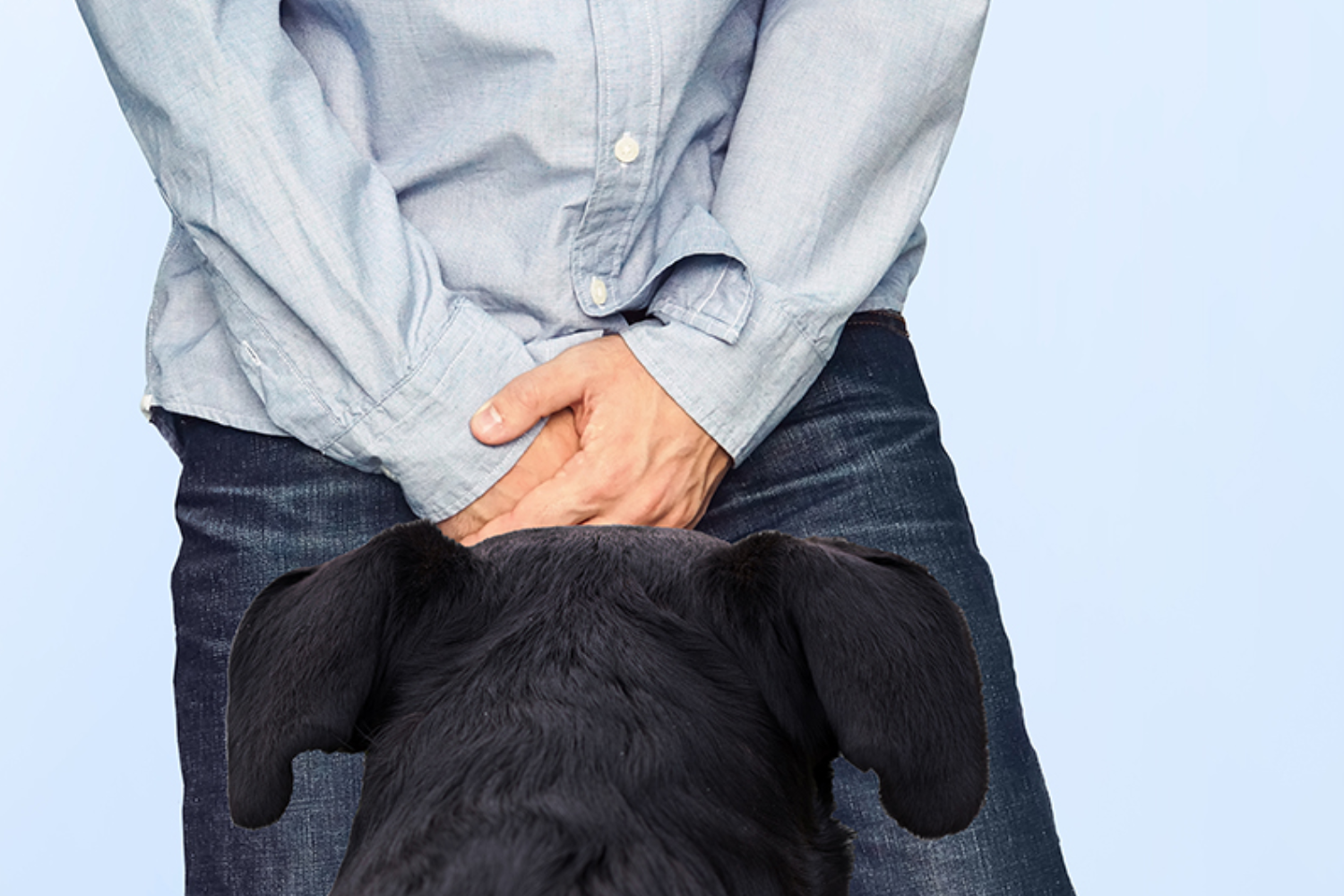 Why Does My Dog Love Sniffing My Crotch? (Hint: It's Not What You Think)